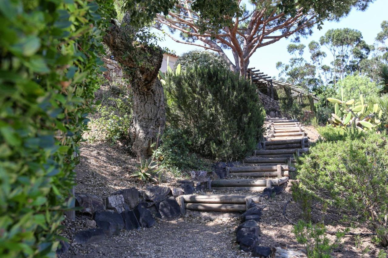 Monte Da Vilarinha Carrapateira Dış mekan fotoğraf