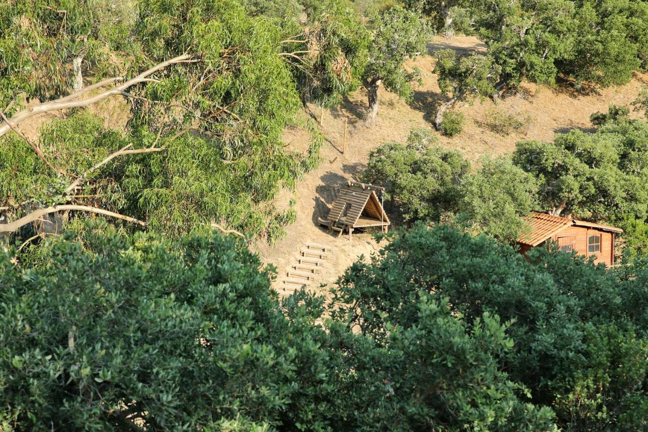 Monte Da Vilarinha Carrapateira Dış mekan fotoğraf